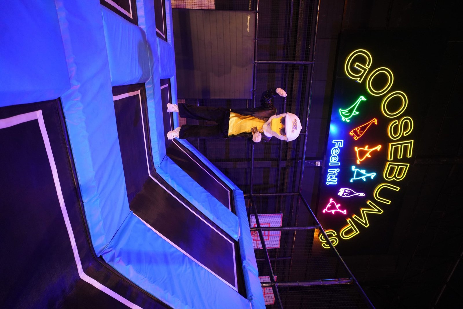 Trampoline - Photo 1